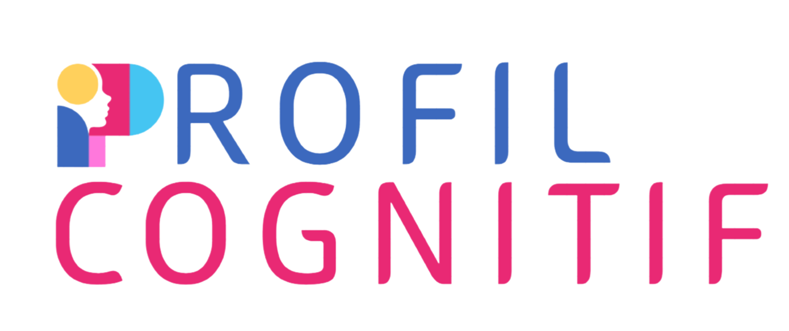 PROFIL COGNITIF
